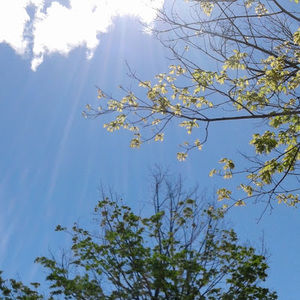 Meet your Posher, Roxana